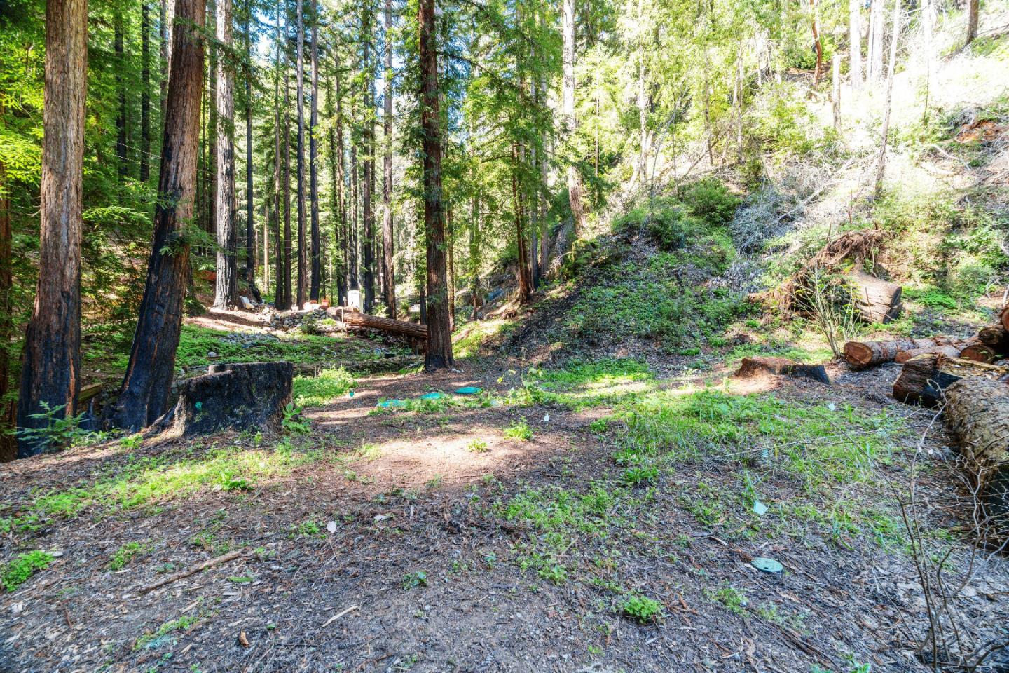 Detail Gallery Image 5 of 50 For 11800 Clear Creek Rd, Brookdale,  CA 95007 - – Beds | – Baths