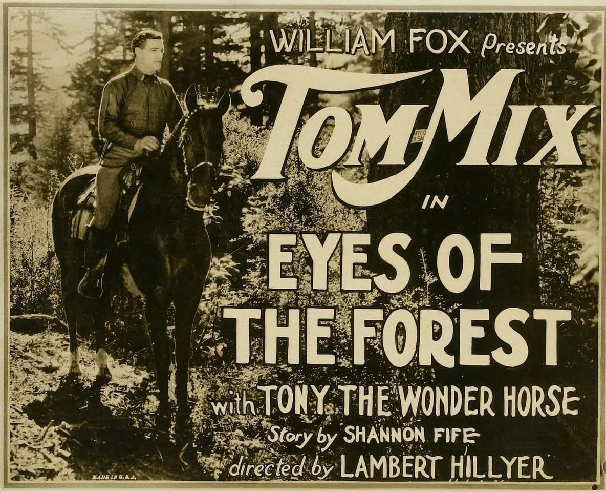 Detail Gallery Image 50 of 50 For 11800 Clear Creek Rd, Brookdale,  CA 95007 - – Beds | – Baths