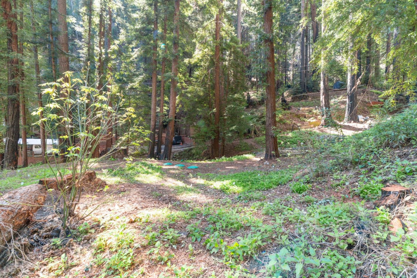 Detail Gallery Image 6 of 50 For 11800 Clear Creek Rd, Brookdale,  CA 95007 - – Beds | – Baths