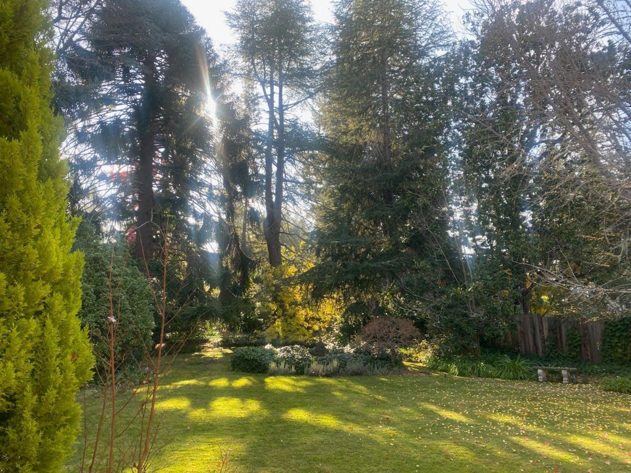 Detail Gallery Image 29 of 43 For 269 Selby Ln, Atherton,  CA 94027 - 6 Beds | 4/1 Baths