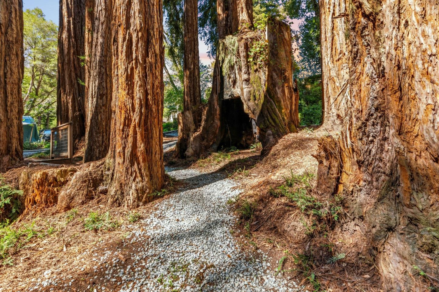 Detail Gallery Image 30 of 38 For 250 Keller Dr, Boulder Creek,  CA 95006 - 2 Beds | 1 Baths