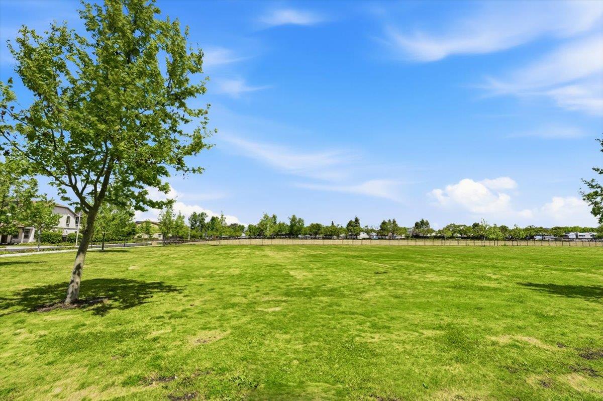 Detail Gallery Image 128 of 143 For 39502 S Darner Dr, Newark,  CA 94560 - 5 Beds | 3/1 Baths