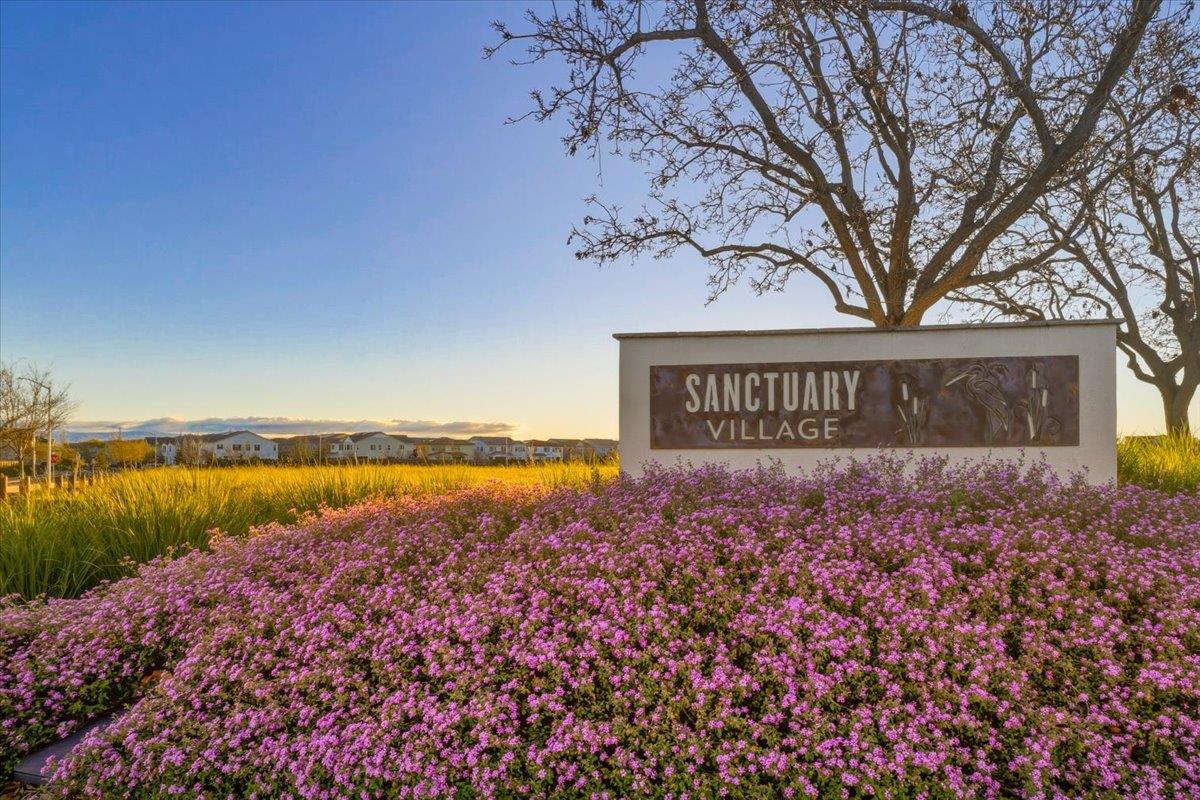 Detail Gallery Image 133 of 143 For 39502 S Darner Dr, Newark,  CA 94560 - 5 Beds | 3/1 Baths