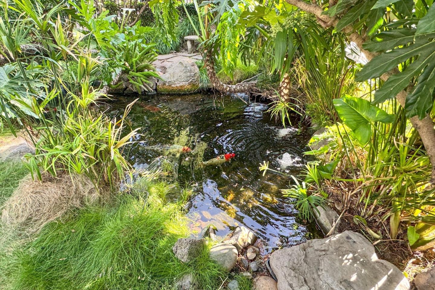 Photo #36: ML82040524 Listing: Photo #36