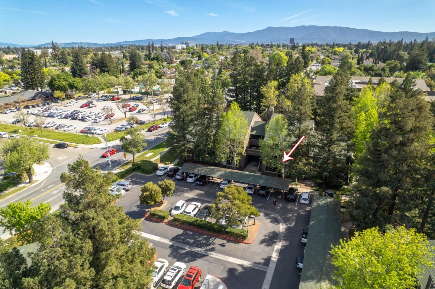 Photo #38: ML82040524 Listing: Photo #38