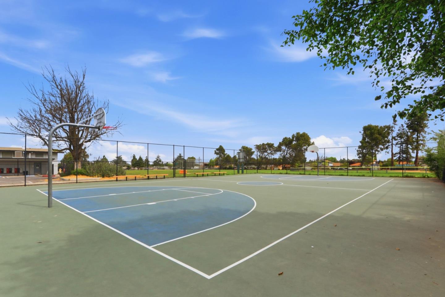 Detail Gallery Image 46 of 68 For 1557 Murre Ln, Sunnyvale,  CA 94087 - 3 Beds | 2 Baths