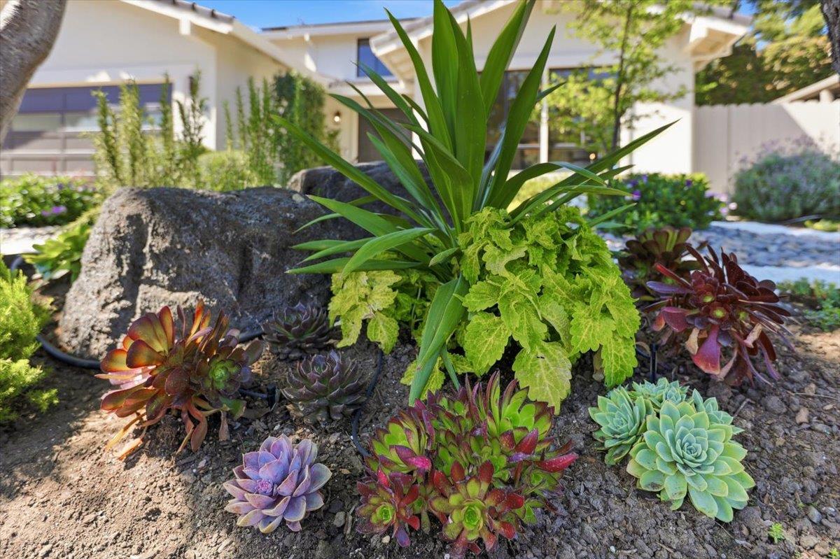 Detail Gallery Image 44 of 46 For 764 Bain Pl, Redwood City,  CA 94062 - 4 Beds | 3 Baths