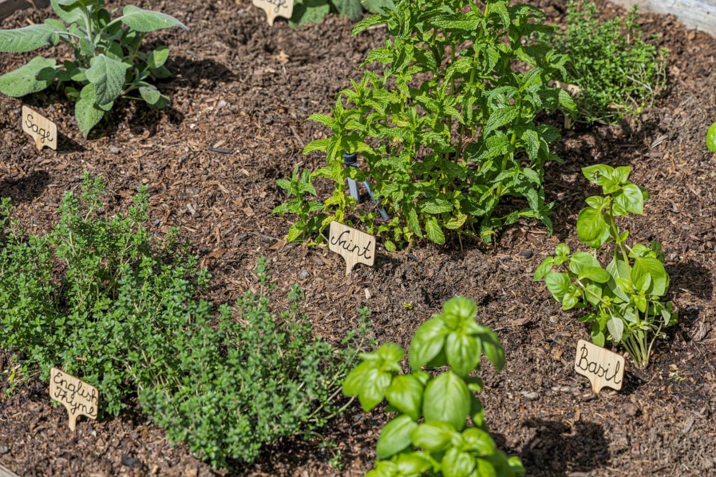 Detail Gallery Image 55 of 58 For 2614 Ohio Ave, Redwood City,  CA 94061 - 3 Beds | 2 Baths