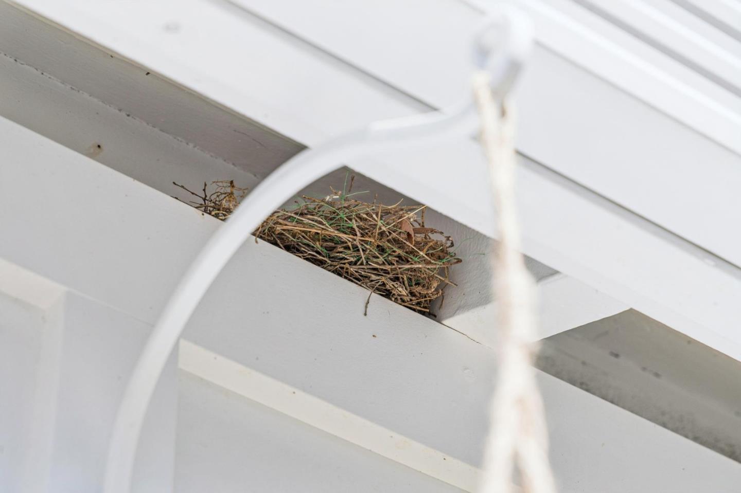 Detail Gallery Image 56 of 58 For 2614 Ohio Ave, Redwood City,  CA 94061 - 3 Beds | 2 Baths