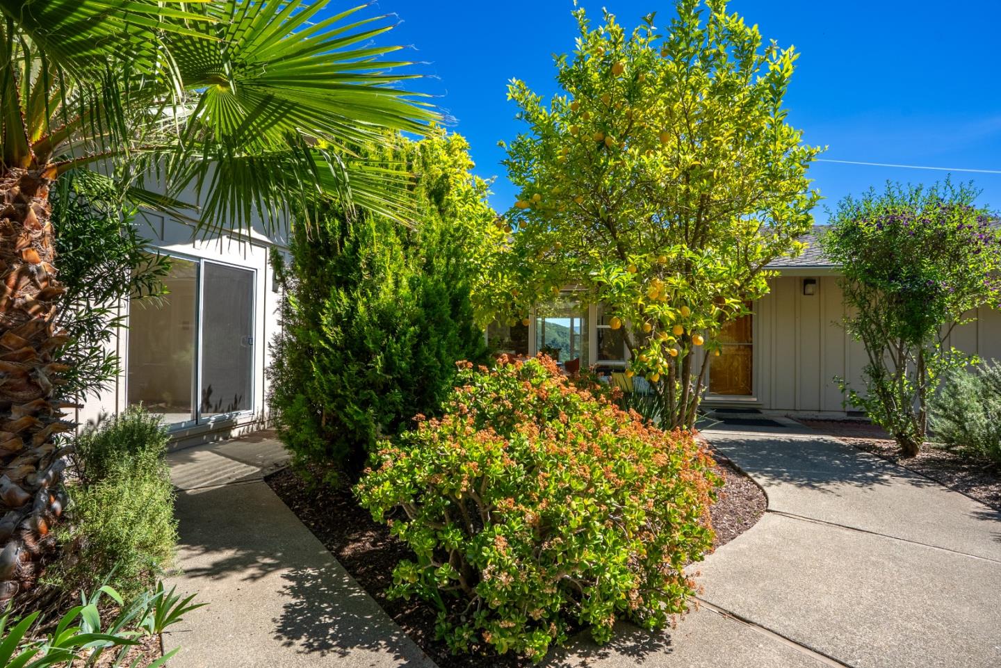 Detail Gallery Image 59 of 105 For 20471 Black Rd, Los Gatos,  CA 95033 - 4 Beds | 3 Baths