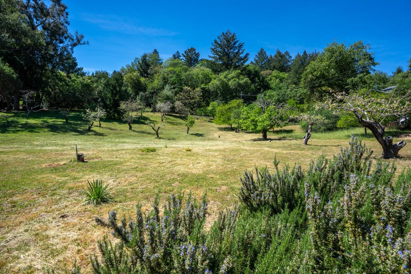 Detail Gallery Image 60 of 105 For 20471 Black Rd, Los Gatos,  CA 95033 - 4 Beds | 3 Baths