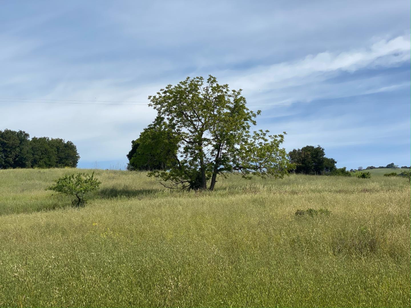 Detail Gallery Image 2 of 2 For 4152 E Aborn Rd, San Jose,  CA 95135 - – Beds | – Baths