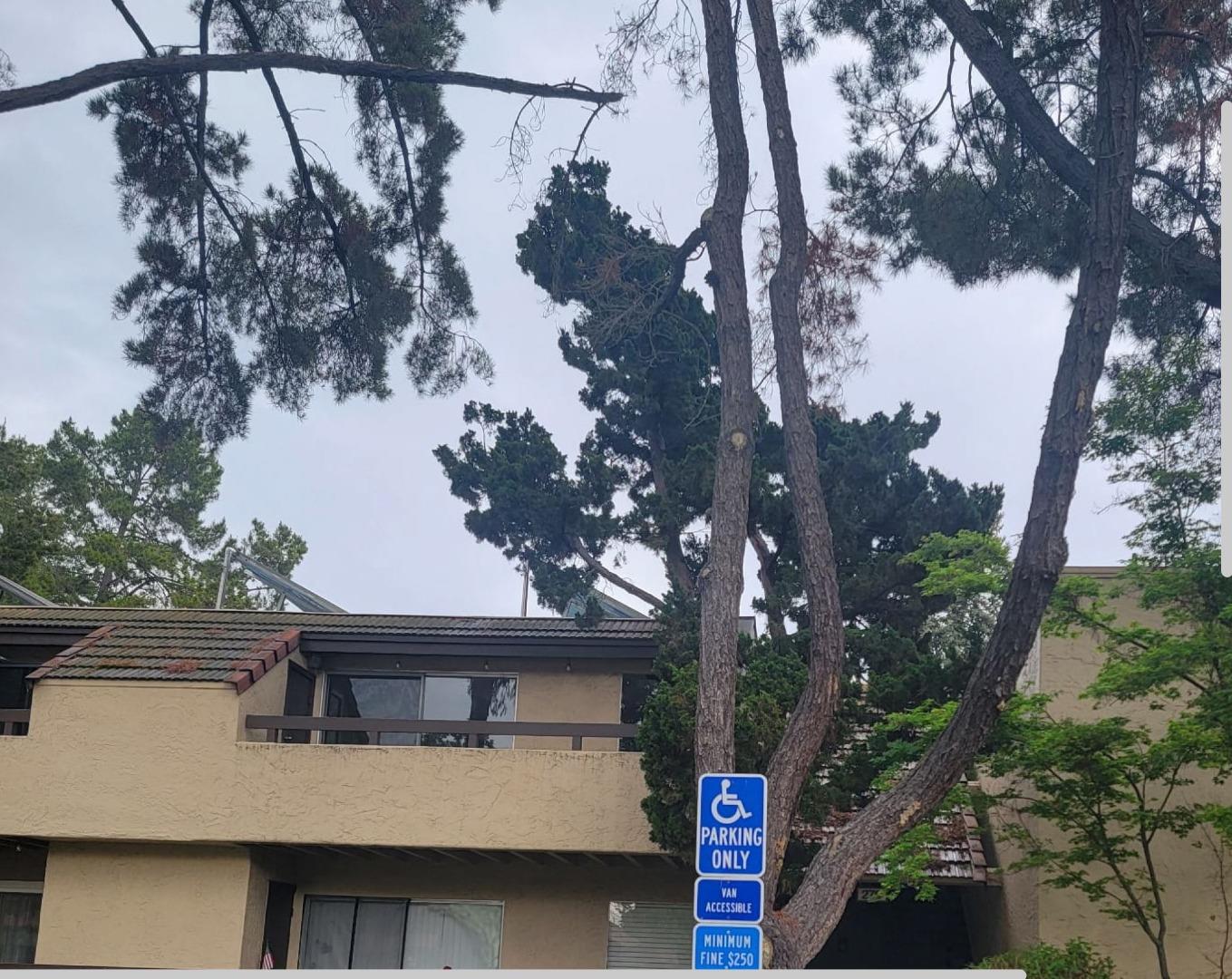 Front Image Thumbnail for ML82040612