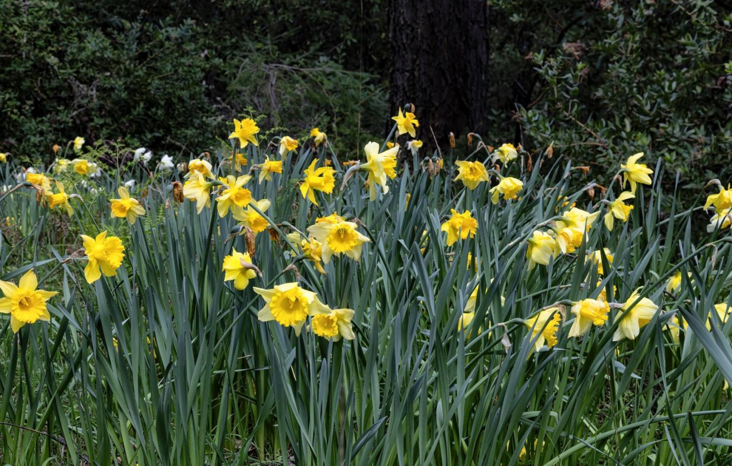 Detail Gallery Image 19 of 20 For Eureka Canyon Rd, Watsonville,  CA 95076 - – Beds | – Baths