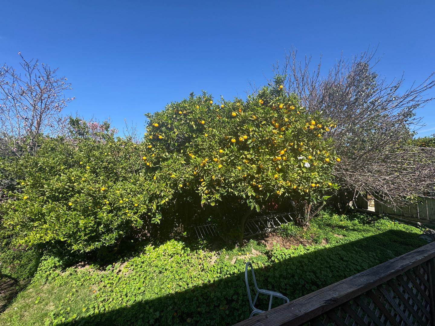 Detail Gallery Image 7 of 7 For 36569 Beutke Dr, Newark,  CA 94560 - 4 Beds | 2/1 Baths