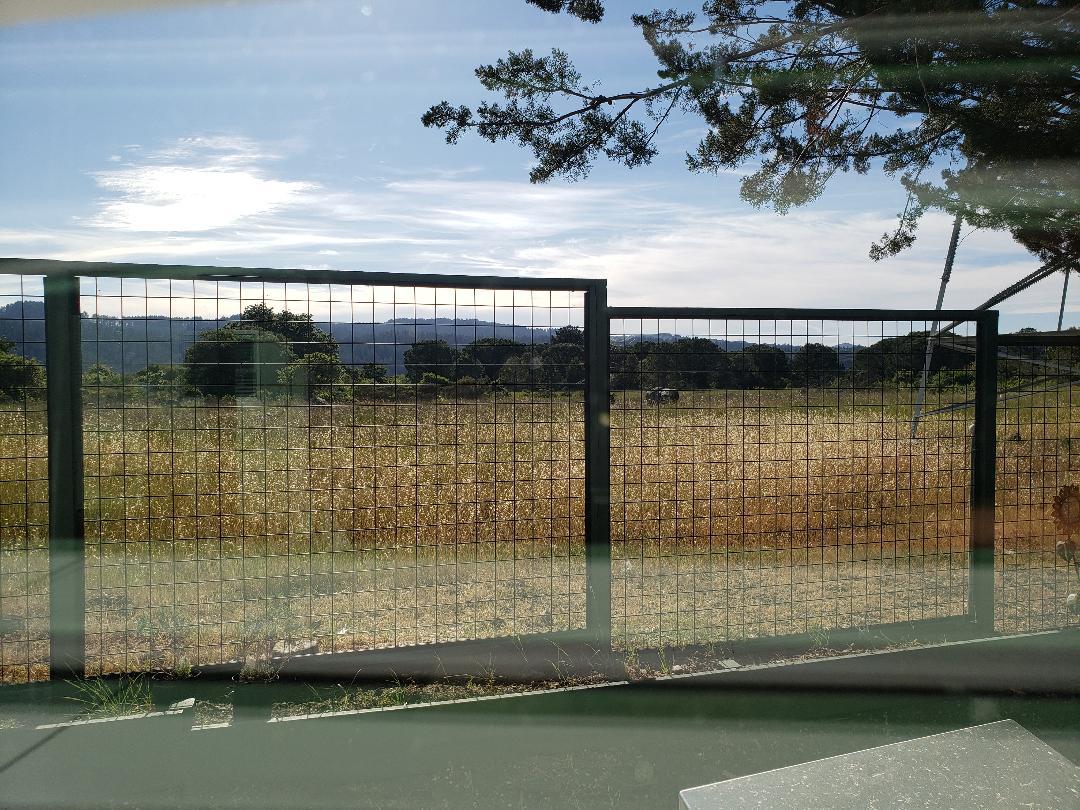 Detail Gallery Image 13 of 16 For 1701 Black Mountain a,  Hillsborough,  CA 94010 - 1 Beds | 1 Baths