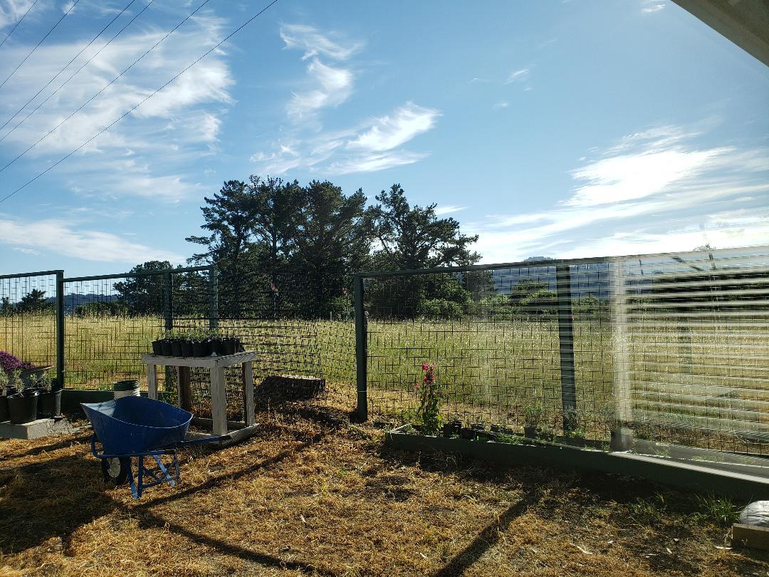 Detail Gallery Image 14 of 16 For 1701 Black Mountain a,  Hillsborough,  CA 94010 - 1 Beds | 1 Baths