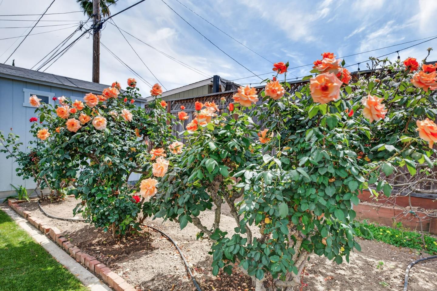 Detail Gallery Image 33 of 39 For 5164 Montreal Dr, San Jose,  CA 95130 - 3 Beds | 2 Baths