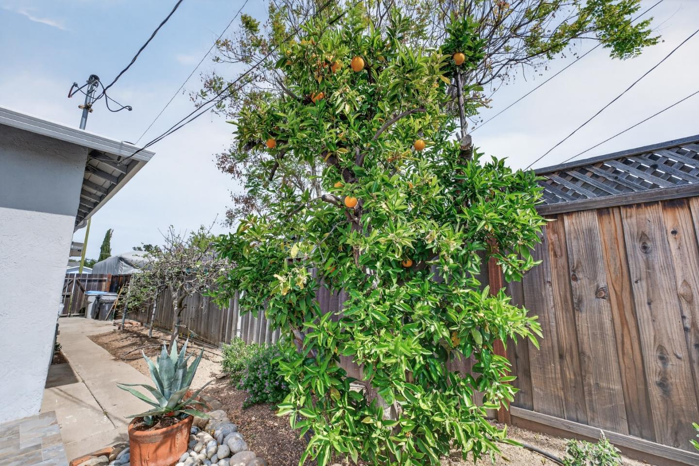 Detail Gallery Image 36 of 39 For 5164 Montreal Dr, San Jose,  CA 95130 - 3 Beds | 2 Baths