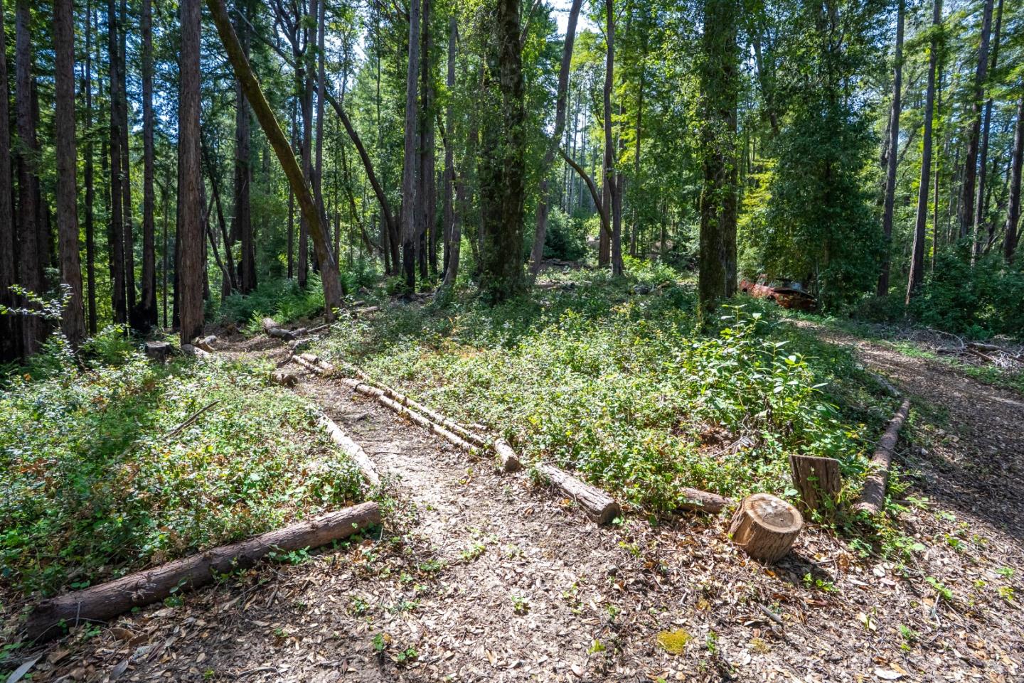 Detail Gallery Image 50 of 53 For 973 Forest Way, Brookdale,  CA 95007 - 2 Beds | 2 Baths