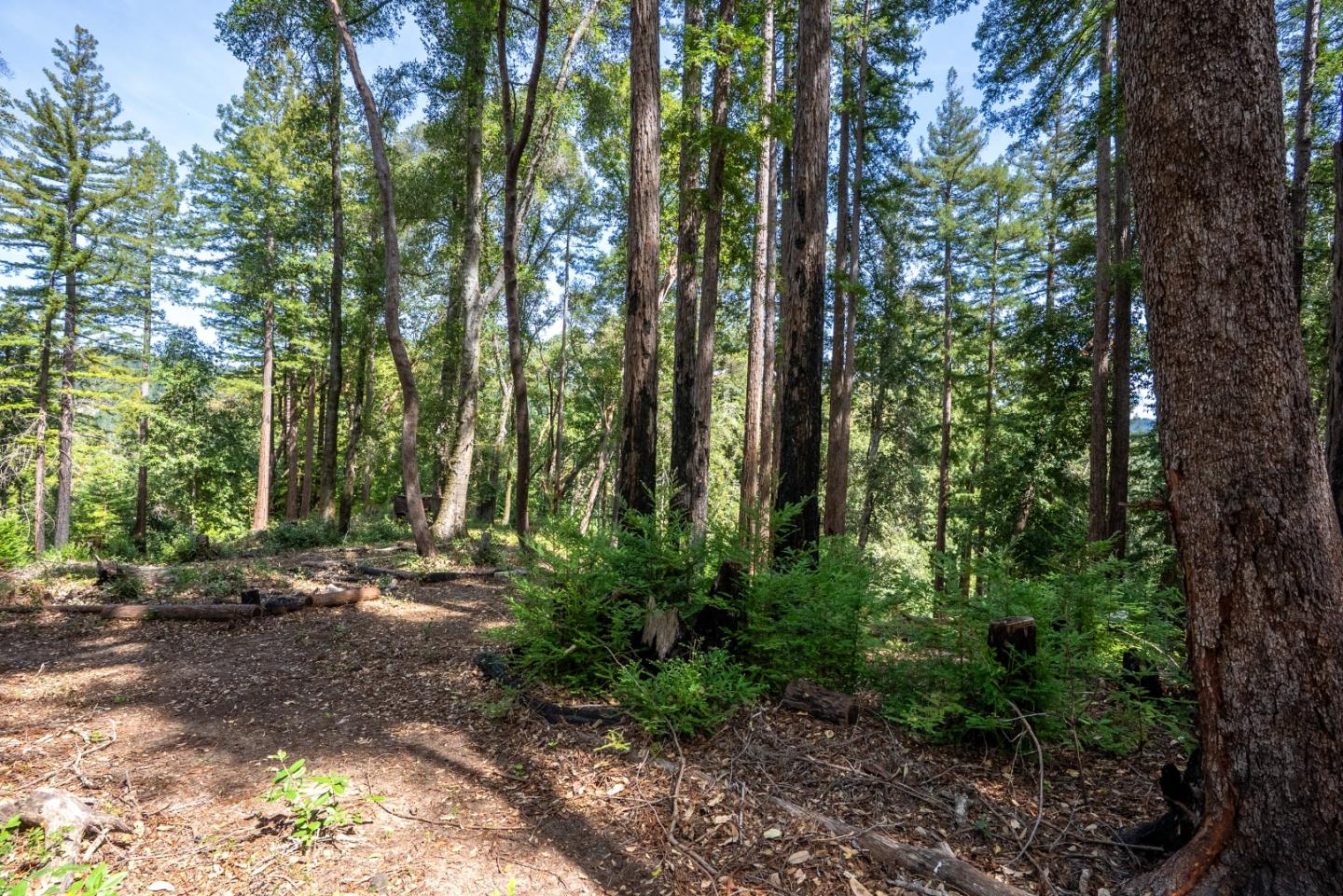 Detail Gallery Image 52 of 53 For 973 Forest Way, Brookdale,  CA 95007 - 2 Beds | 2 Baths