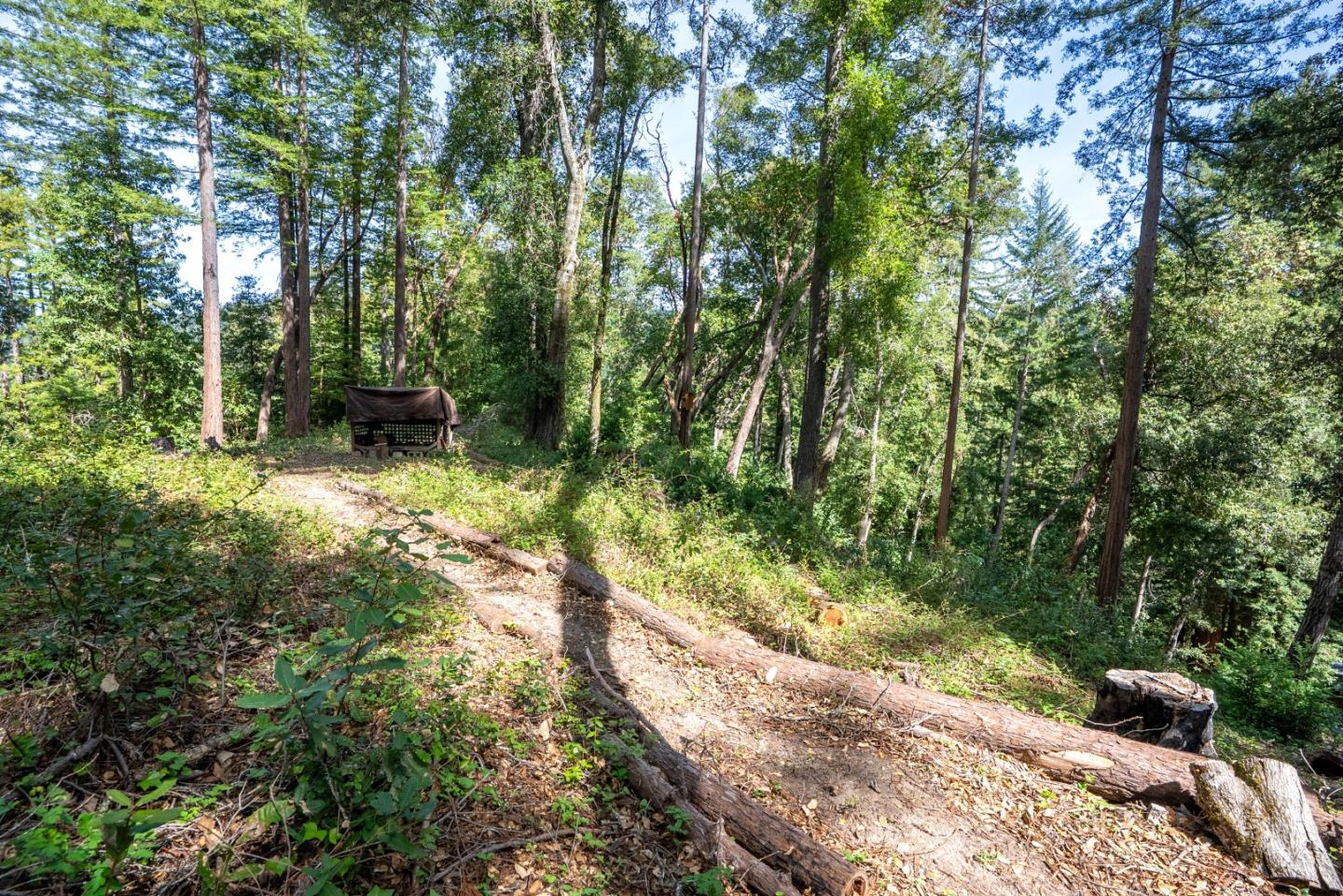 Detail Gallery Image 53 of 53 For 973 Forest Way, Brookdale,  CA 95007 - 2 Beds | 2 Baths