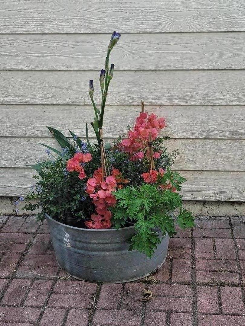 Detail Gallery Image 30 of 31 For 7350 Carter Ave, Newark,  CA 94560 - 3 Beds | 2/1 Baths