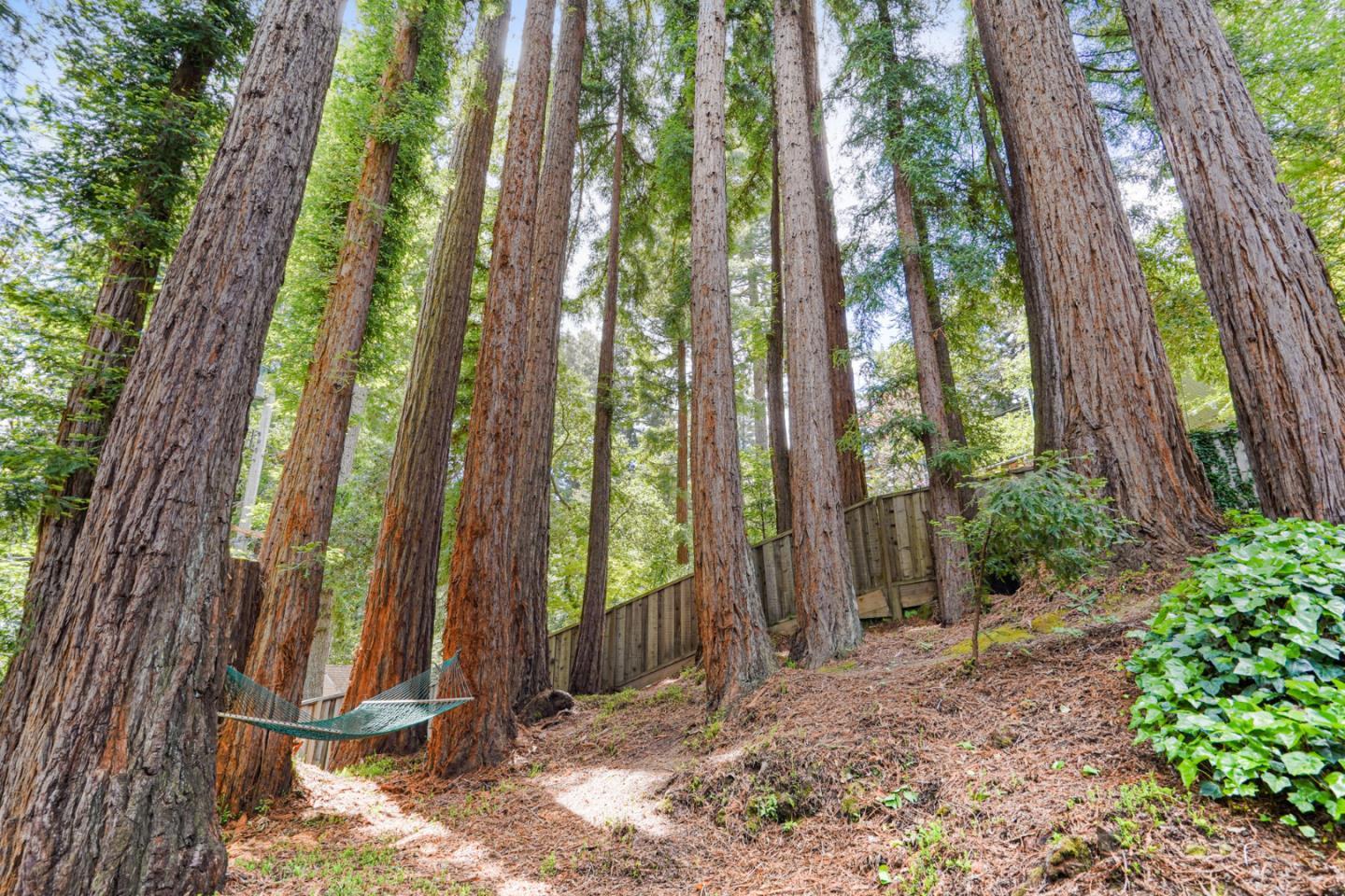 Detail Gallery Image 51 of 62 For 252 Blakewood Way, Redwood City,  CA 94062 - 3 Beds | 2 Baths