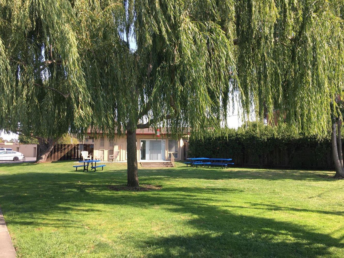 Photo #21: ML82040768 Listing: Photo #21