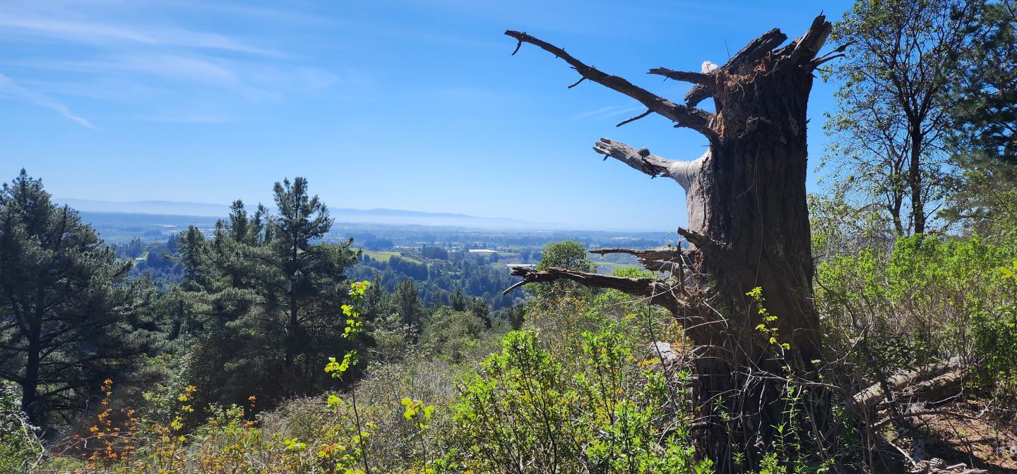 Detail Gallery Image 10 of 18 For Address Not Disclosed, Watsonville,  CA 95076 - – Beds | – Baths