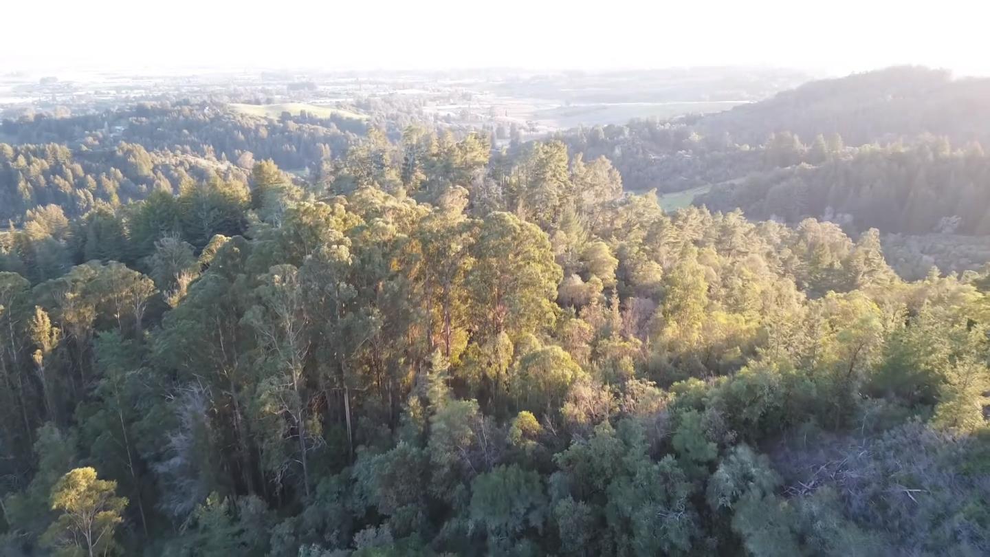 Detail Gallery Image 14 of 18 For Address Not Disclosed, Watsonville,  CA 95076 - – Beds | – Baths