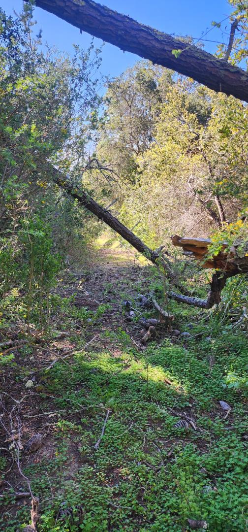 Detail Gallery Image 4 of 18 For Address Not Disclosed, Watsonville,  CA 95076 - – Beds | – Baths