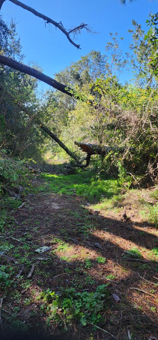 Detail Gallery Image 5 of 18 For Address Not Disclosed, Watsonville,  CA 95076 - – Beds | – Baths