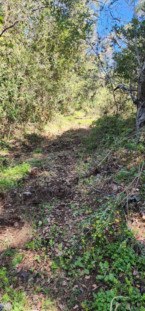 Detail Gallery Image 6 of 18 For Address Not Disclosed, Watsonville,  CA 95076 - – Beds | – Baths