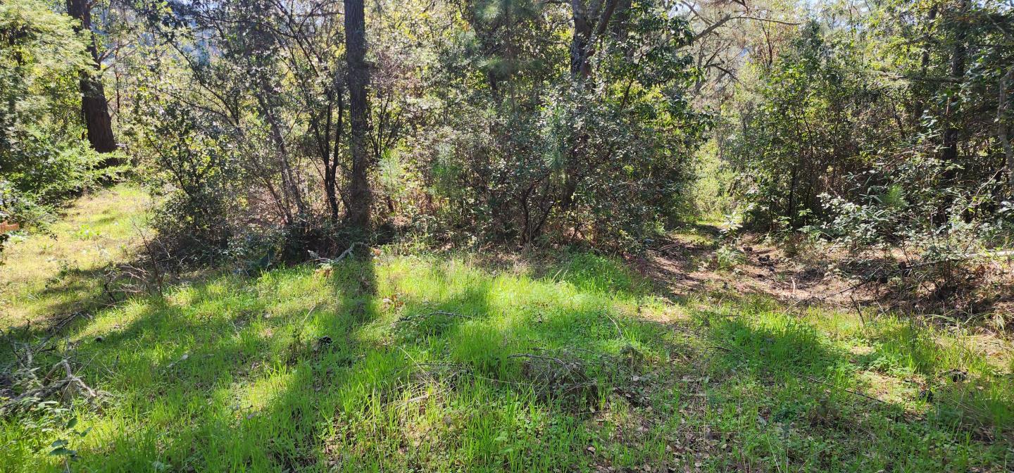 Detail Gallery Image 8 of 18 For Address Not Disclosed, Watsonville,  CA 95076 - – Beds | – Baths