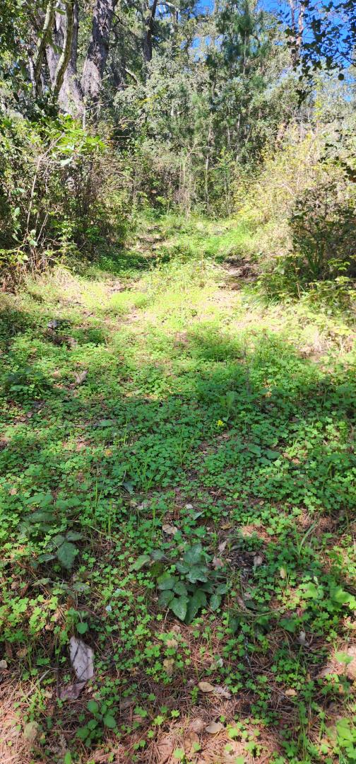 Detail Gallery Image 9 of 18 For Address Not Disclosed, Watsonville,  CA 95076 - – Beds | – Baths