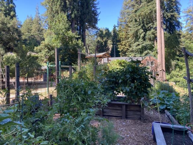 Detail Gallery Image 37 of 37 For 17960 Apache Trl, Los Gatos,  CA 95033 - 3 Beds | 2 Baths