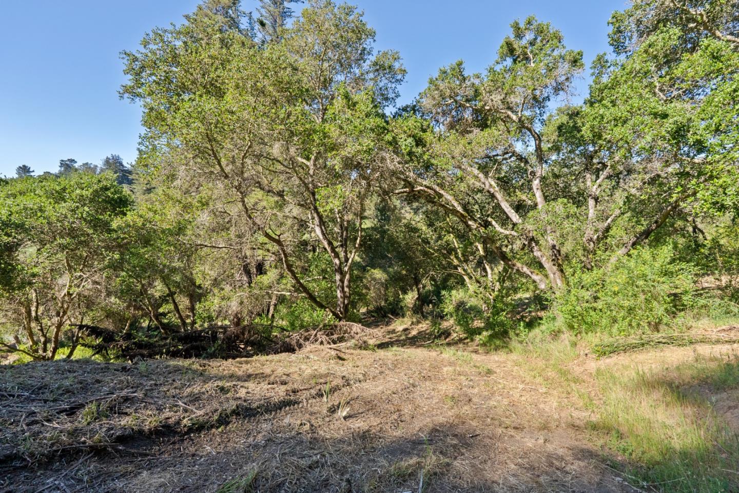 Detail Gallery Image 82 of 85 For 688 Calabasas Rd, Watsonville,  CA 95076 - 3 Beds | 3 Baths