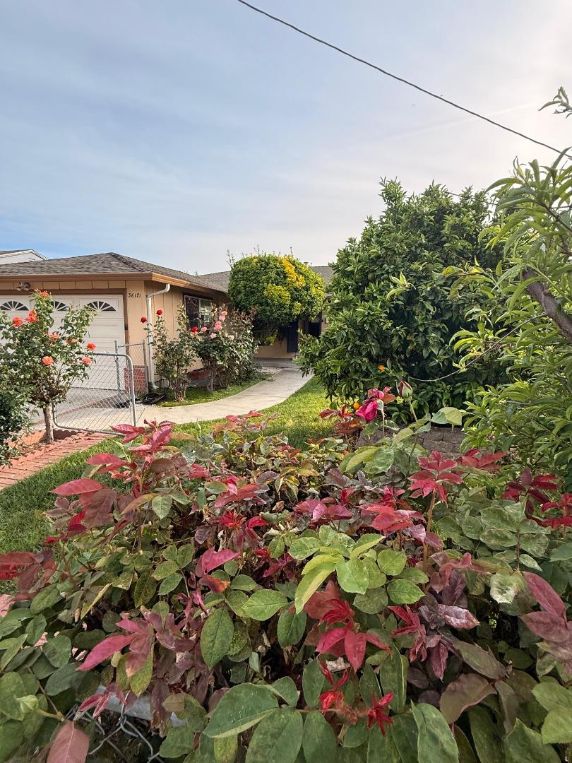 36171 Cabrillo Drive, Fremont, CA, 94536