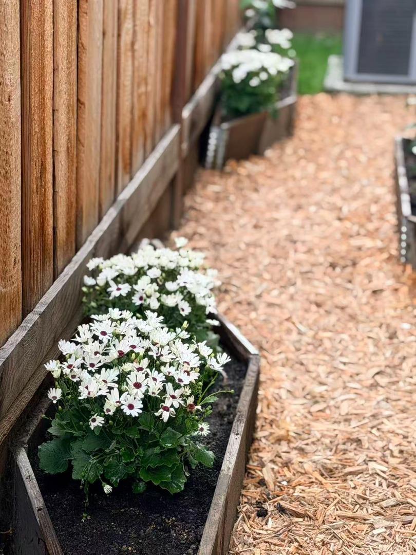 Detail Gallery Image 39 of 49 For 217 Athena Ct, Mountain View,  CA 94043 - 3 Beds | 2/1 Baths