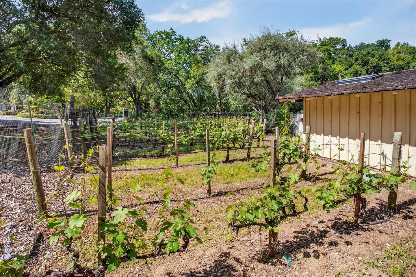 Detail Gallery Image 36 of 48 For 14176 Quail Acres, Saratoga,  CA 95070 - 4 Beds | 3 Baths