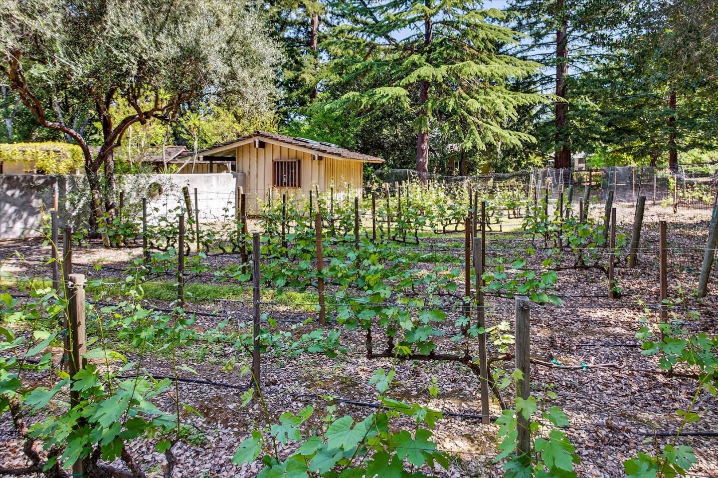 Detail Gallery Image 37 of 48 For 14176 Quail Acres, Saratoga,  CA 95070 - 4 Beds | 3 Baths