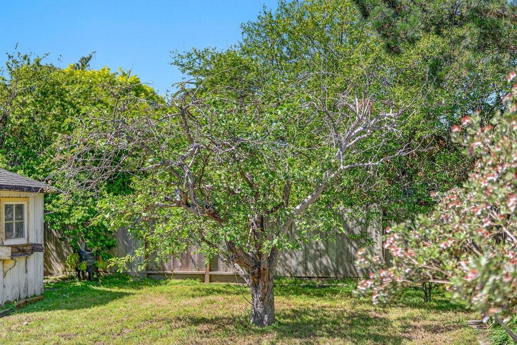 Detail Gallery Image 43 of 51 For 333 John St, Santa Cruz,  CA 95060 - 3 Beds | 2 Baths