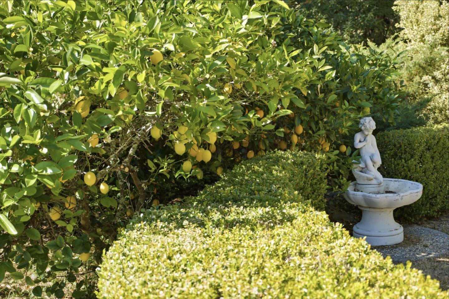 Detail Gallery Image 43 of 65 For 23349 Deerfield Rd, Los Gatos,  CA 95033 - 3 Beds | 2 Baths