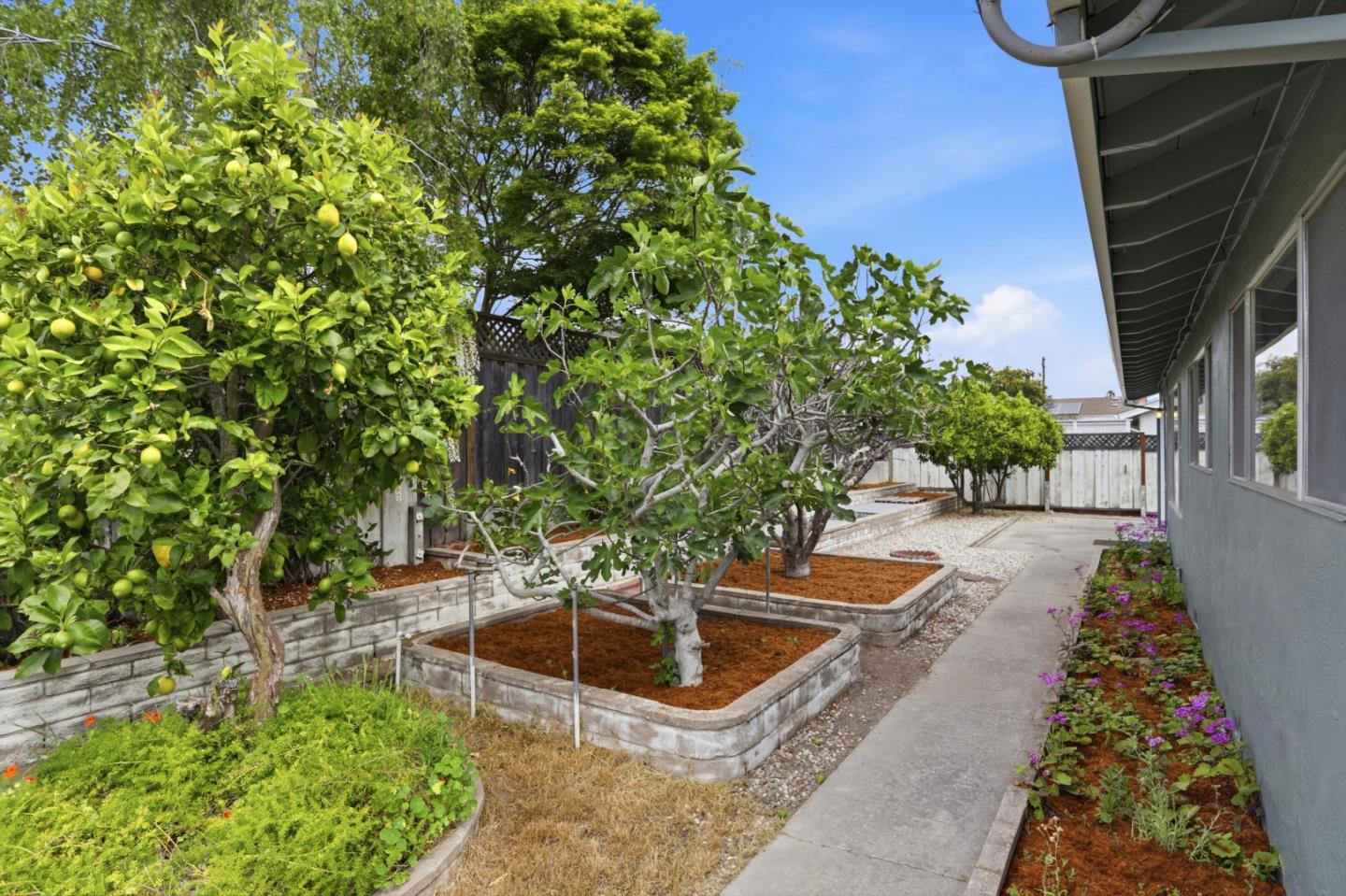 Detail Gallery Image 33 of 39 For 311 Chirco Ave, Santa Cruz,  CA 95065 - 3 Beds | 2/1 Baths