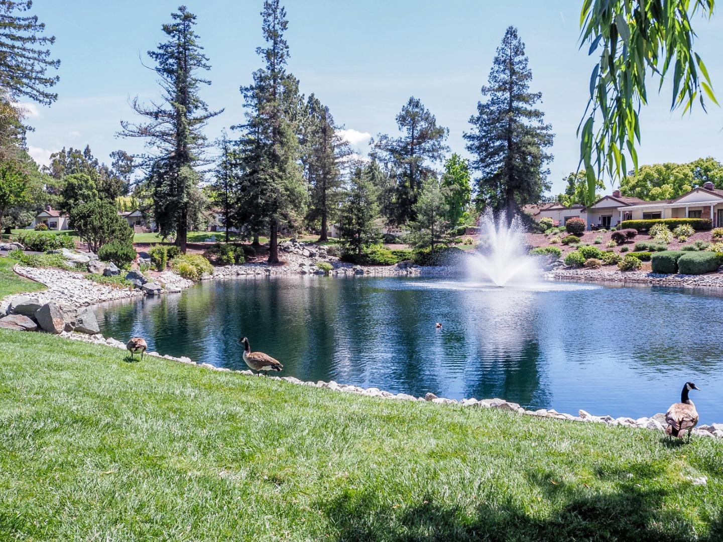 Photo #26: ML82040942 Listing: Photo #26