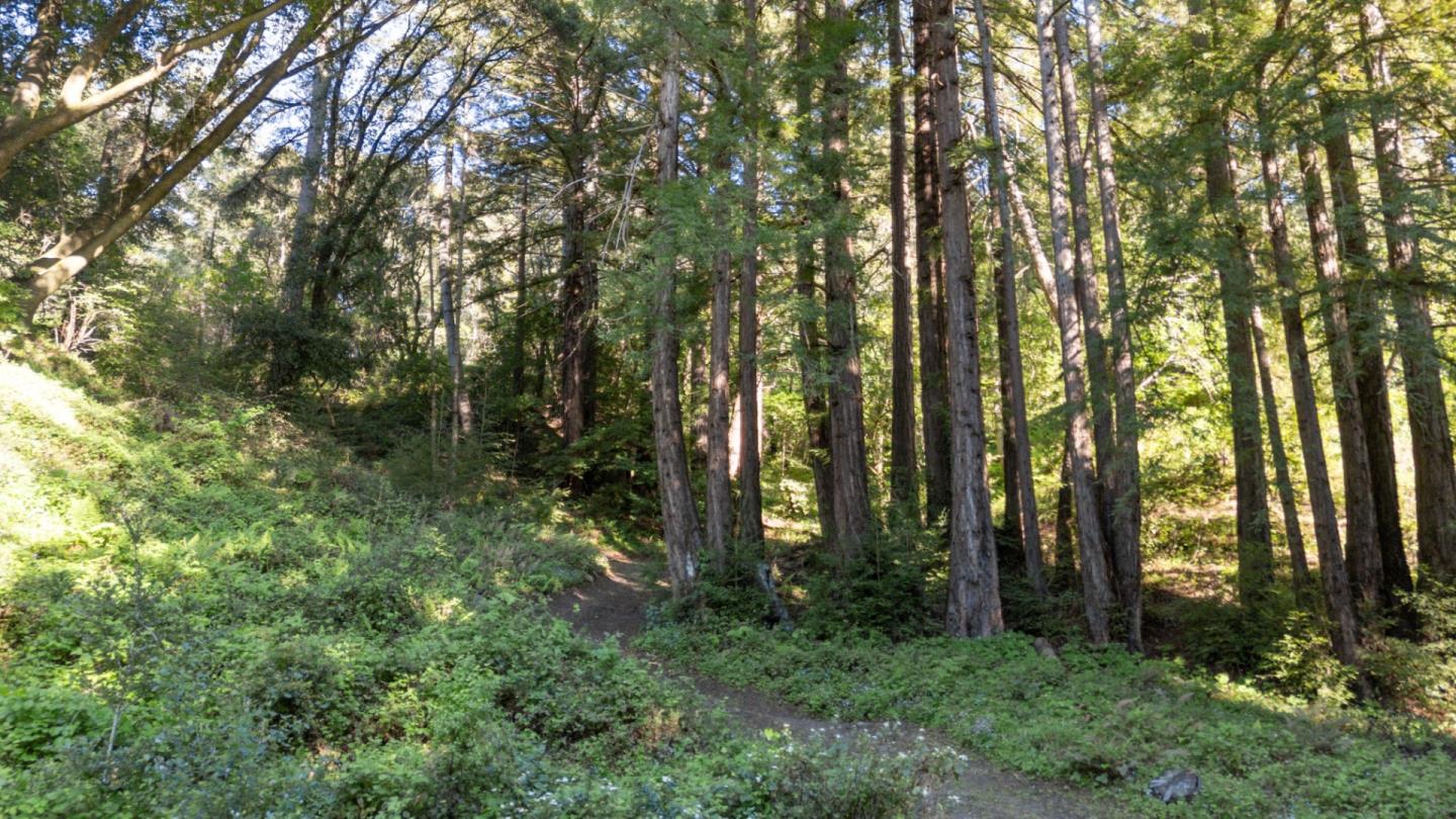 2715 Branciforte Drive, Santa Cruz, CA, 95065