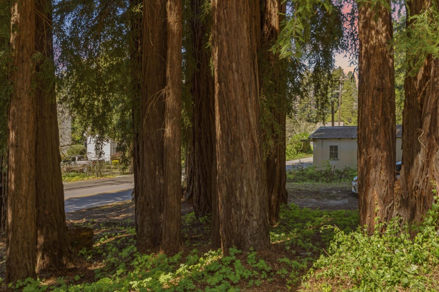 Detail Gallery Image 45 of 54 For 2715 Branciforte Dr, Santa Cruz,  CA 95065 - 3 Beds | 2 Baths