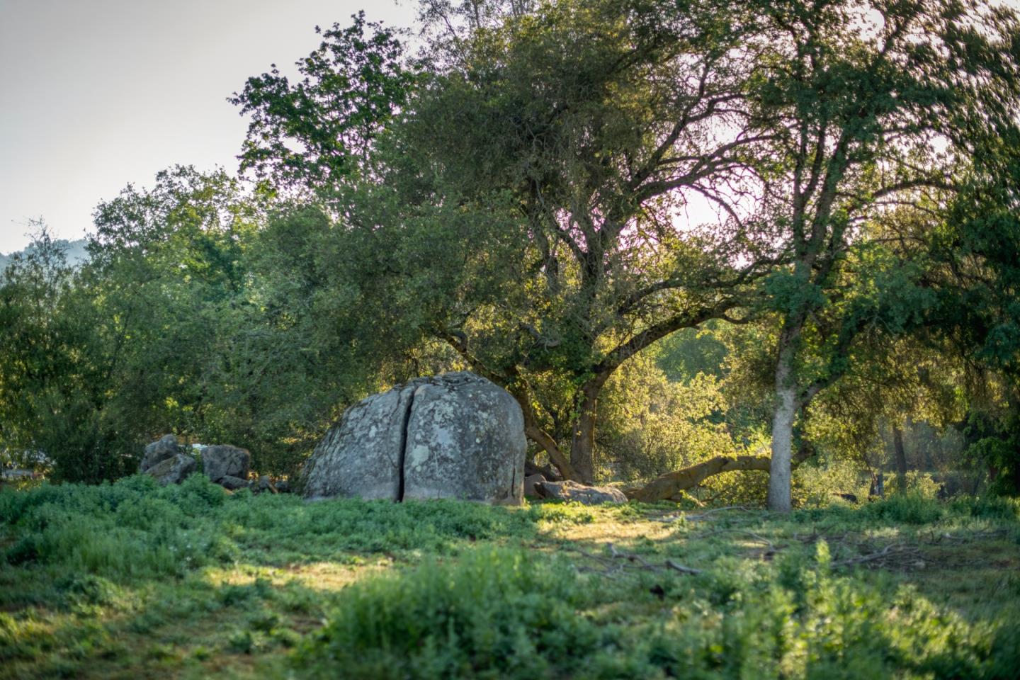 Detail Gallery Image 3 of 19 For 13804205 Pennyroyal Ln, Prather,  CA 93651 - – Beds | – Baths