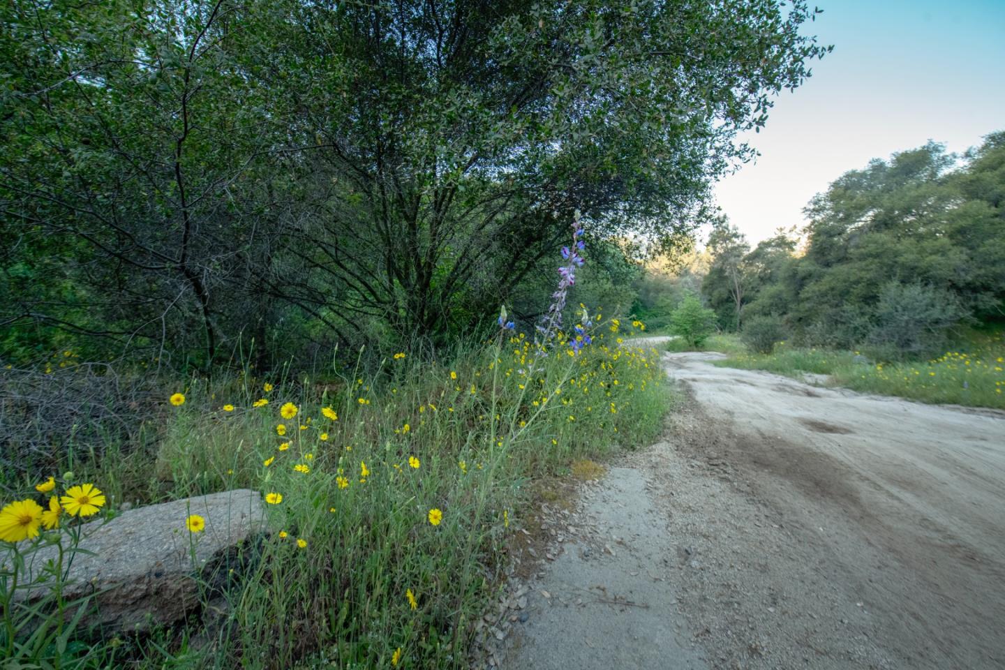 Detail Gallery Image 4 of 19 For 13804205 Pennyroyal Ln, Prather,  CA 93651 - – Beds | – Baths